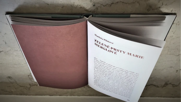 KORONA POVÍDKY: Markéta Pilátová – 