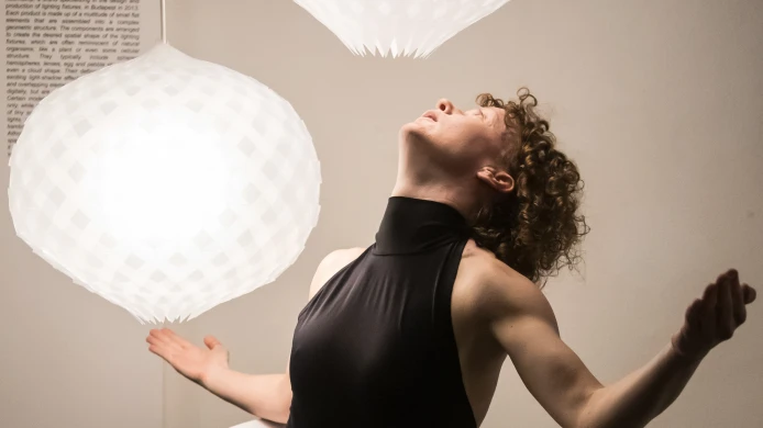 Design bez hranic: Mezinárodní výstava designu a totálního umění ve Vídni