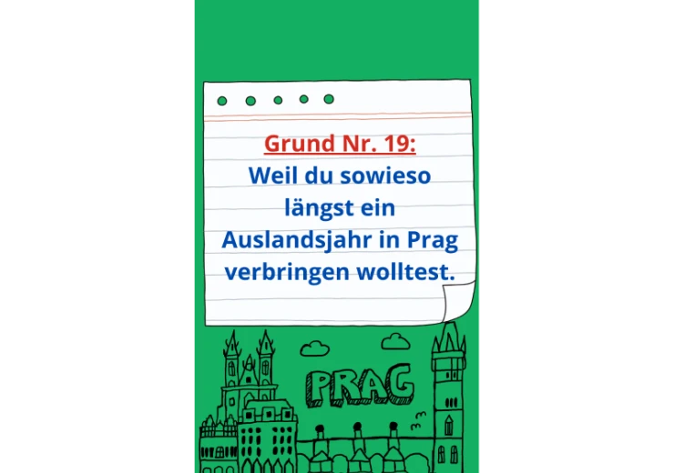grund-19.png